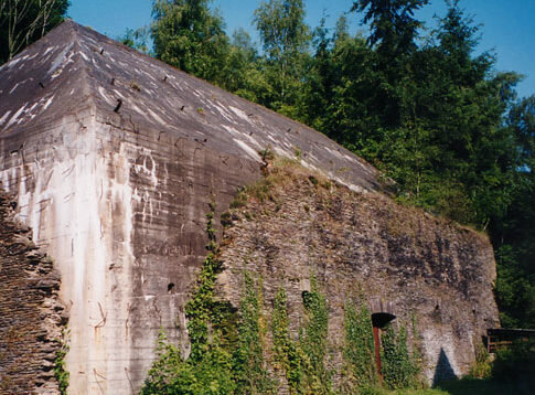 Ruševine bunkerja v prebivališča "Adlerhorst"