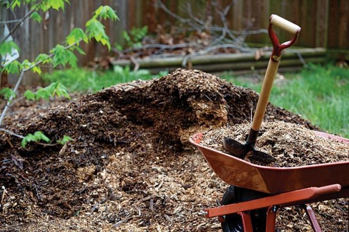 Kako gnojiti sadna drevesa v jeseni? | Vrtnarstvo & Vrtnarstvo