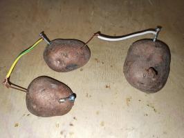 Elektrika iz krompirja - izvesti preprost poskus