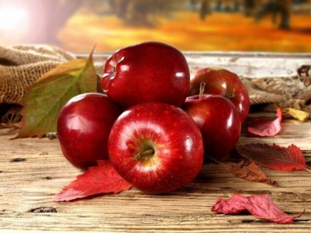 Kakšne koristi imajo jabolka in ali lahko škodujejo telesu