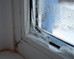 Plastična okna "krik" zakaj kondenzacije na okenskih okvirjih in kaj storiti
