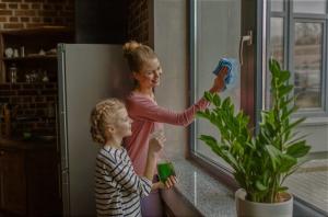 Kako čistih oken, da bi več koristi in ne škoduje. 5 preprosti koraki