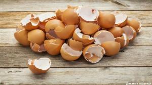 Jajčne lupine: 3 uporabne aplikacije v jesenskem vrtu