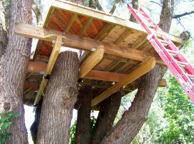 Gradnja hišice na drevesu začne z montažo podporo
