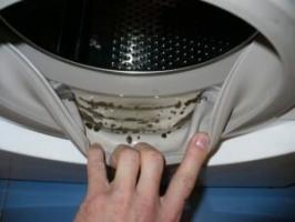 Kako odstraniti zatohel vonj iz pralnega stroja