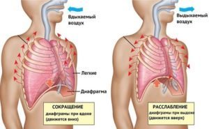 Trebuhu dihanje: koristi in škodo, aparati, ocene