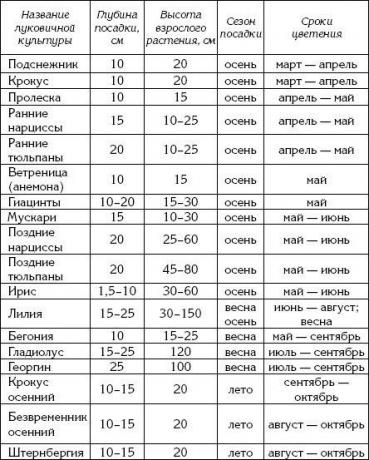 Shranite objavo v socialno mrežo, da ne bi izgubili!