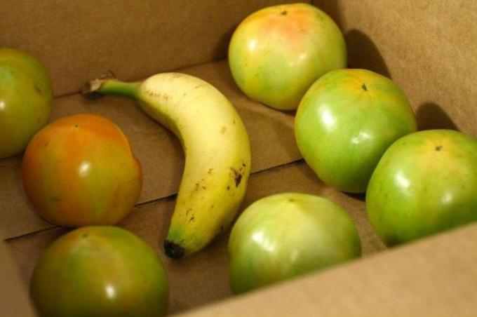 Banana v škatli z zelenimi paradižnik | Vrtnarstvo & Vrtnarstvo