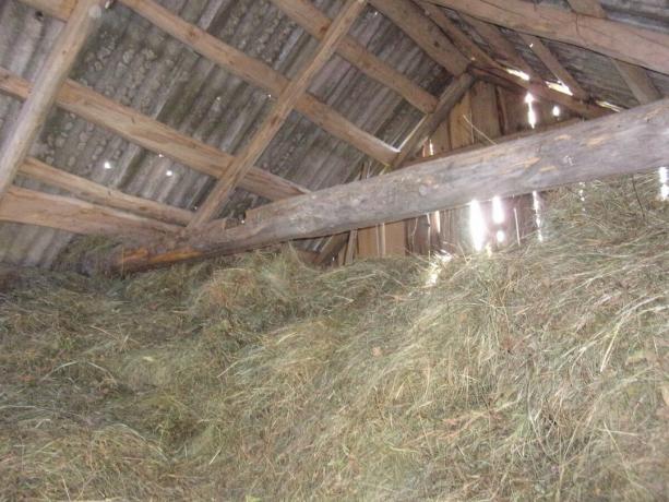 Hay shed skoraj pod streho, napolnjene s senom za koze.