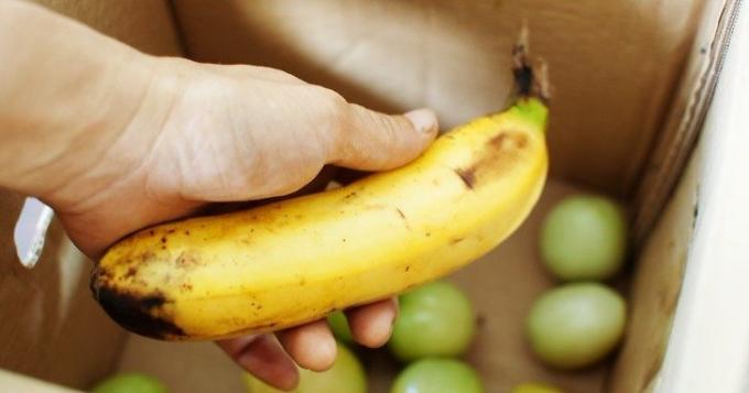Zrela banana pospeši zorenje zelenih paradižnikov