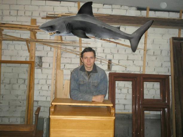 Shark je vzet iz službe Yandex-slike