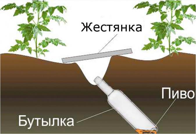 Oblikovanje shema klopkan.ru stran
