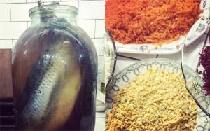 Začinite s soljo in kuhamo ribje plašč za 3 dni do novega leta po receptu Margarita Simonyan