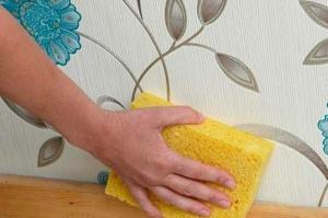Kako za pranje in čiščenje ozadje pred prahom in umazanijo?