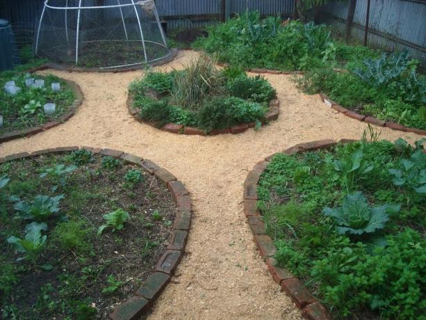 Pot žagovine na območju | Vrtnarstvo & Vrtnarstvo