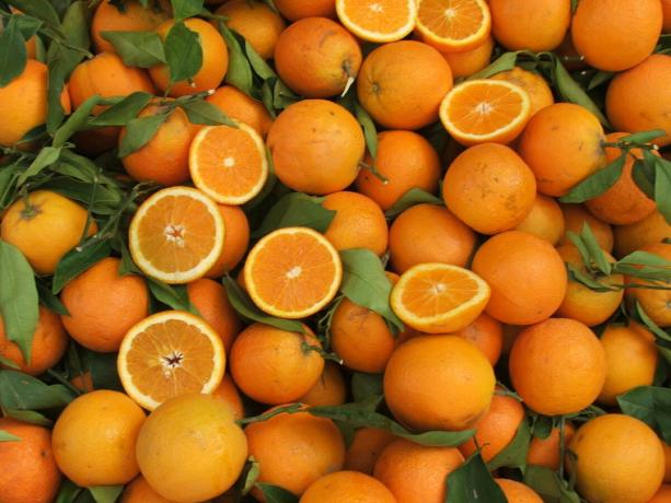 Kdo ne bi smel jesti mandarine?