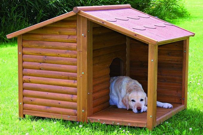 Gable streha pri gradnji kabine za pse