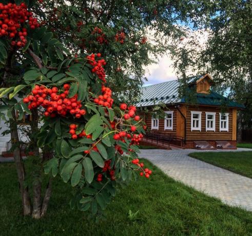Rowan - tradicionalni okras ruske vasi! (Slika iz playcast.ru)