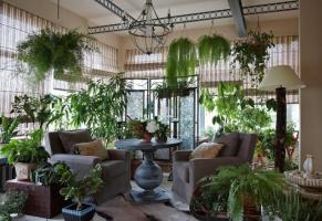 Kot izvirniku in lepo okrasite svojo hišo rastline, zaradi česar je notranjost prostorov nepozabne. 6 design ideje