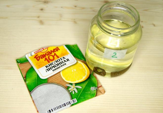 Hrana citronska kislina