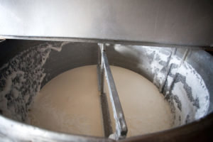 Postopoma dodajamo mleko fermentirano mleko, sirotka. Po mešanju vsebina koagulirajo. 